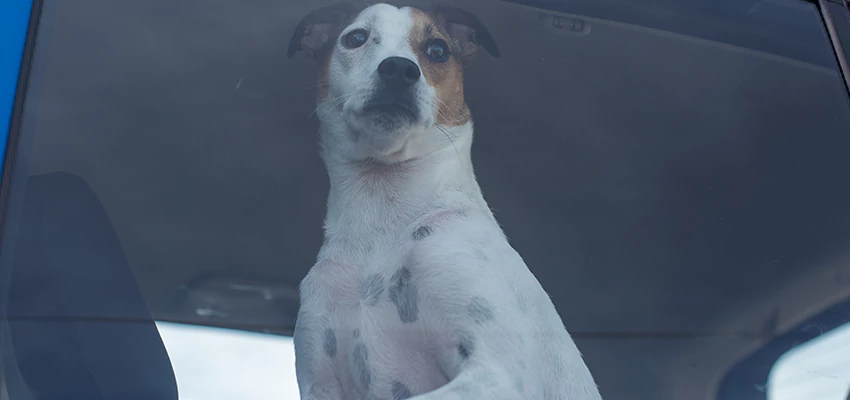 Car Lockout Solutions in Menlo Park, California